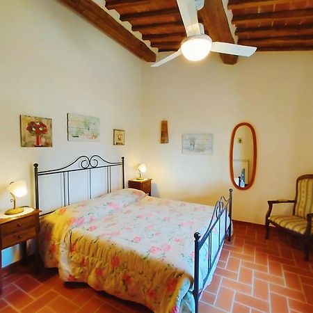 San Lorenzo Agriturismo Buonconvento Dış mekan fotoğraf