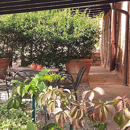 San Lorenzo Agriturismo Buonconvento Dış mekan fotoğraf