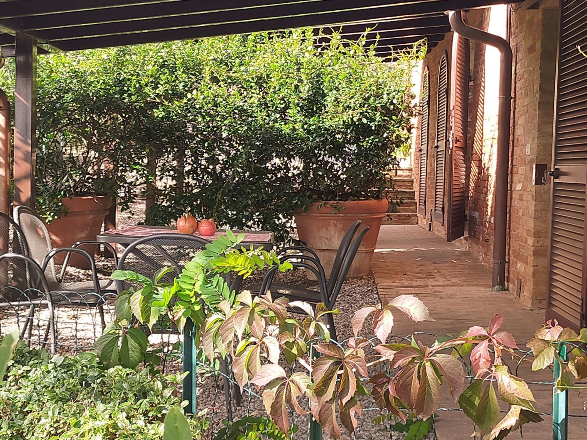 San Lorenzo Agriturismo Buonconvento Dış mekan fotoğraf