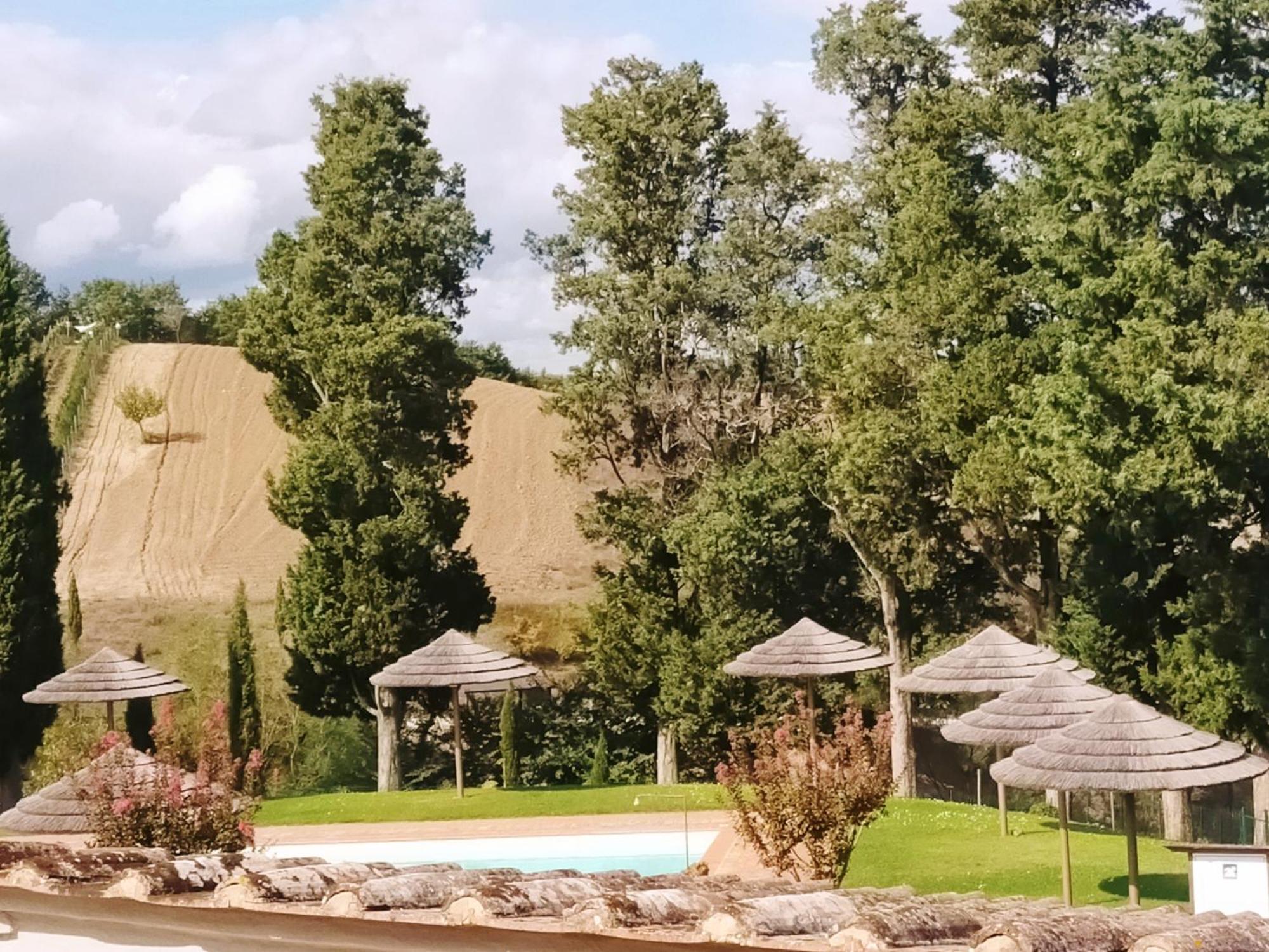 San Lorenzo Agriturismo Buonconvento Dış mekan fotoğraf