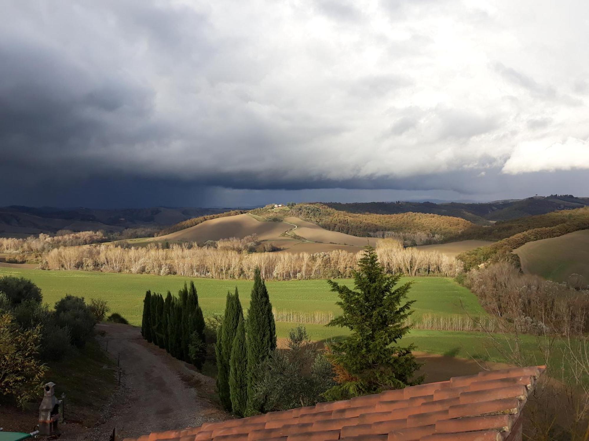 San Lorenzo Agriturismo Buonconvento Dış mekan fotoğraf