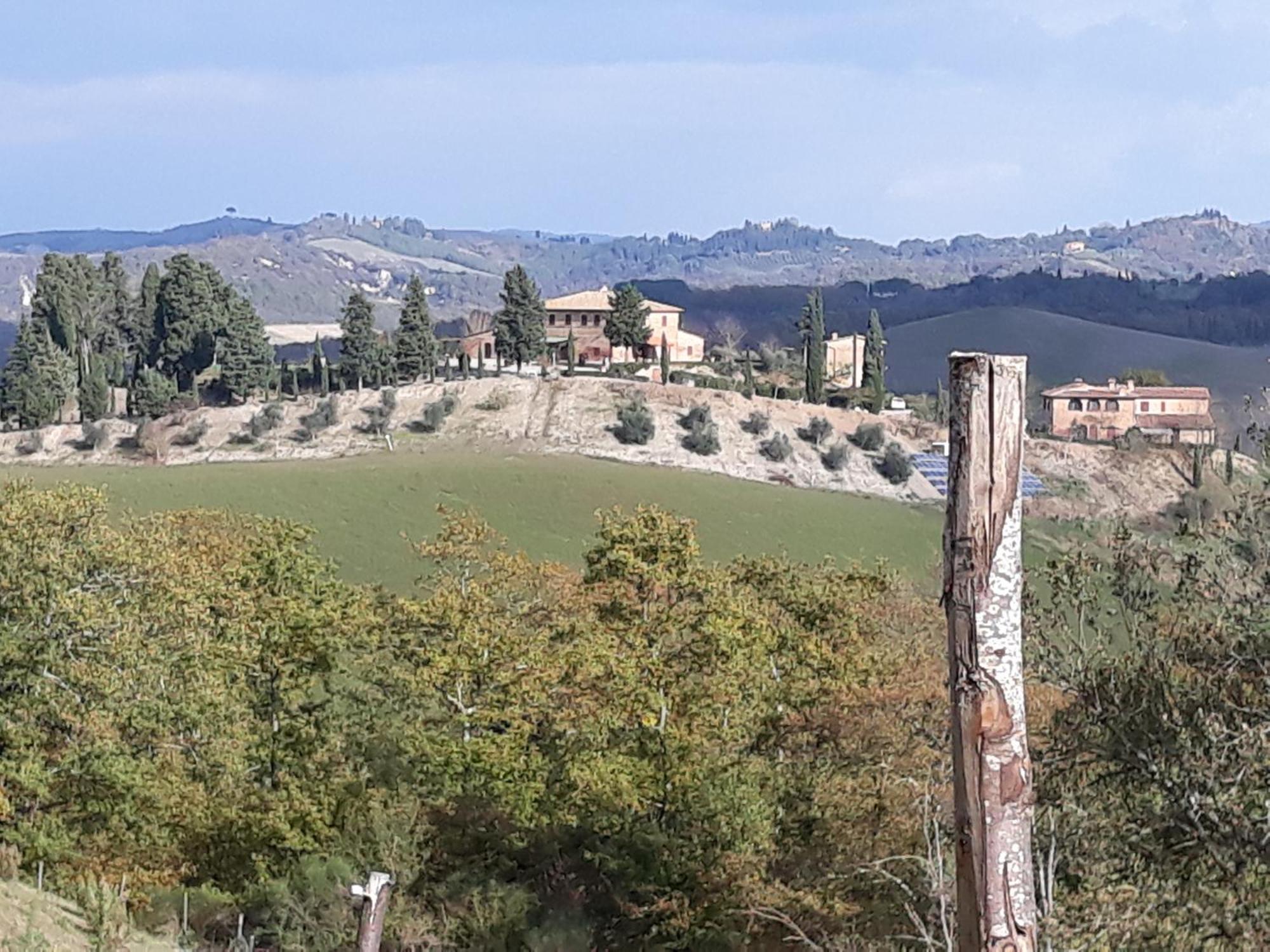 San Lorenzo Agriturismo Buonconvento Dış mekan fotoğraf