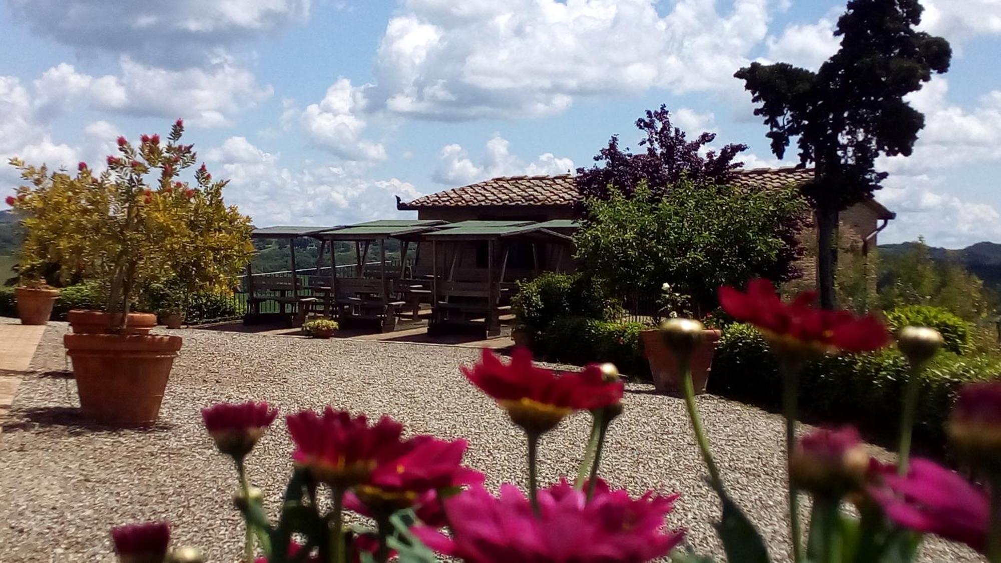 San Lorenzo Agriturismo Buonconvento Dış mekan fotoğraf